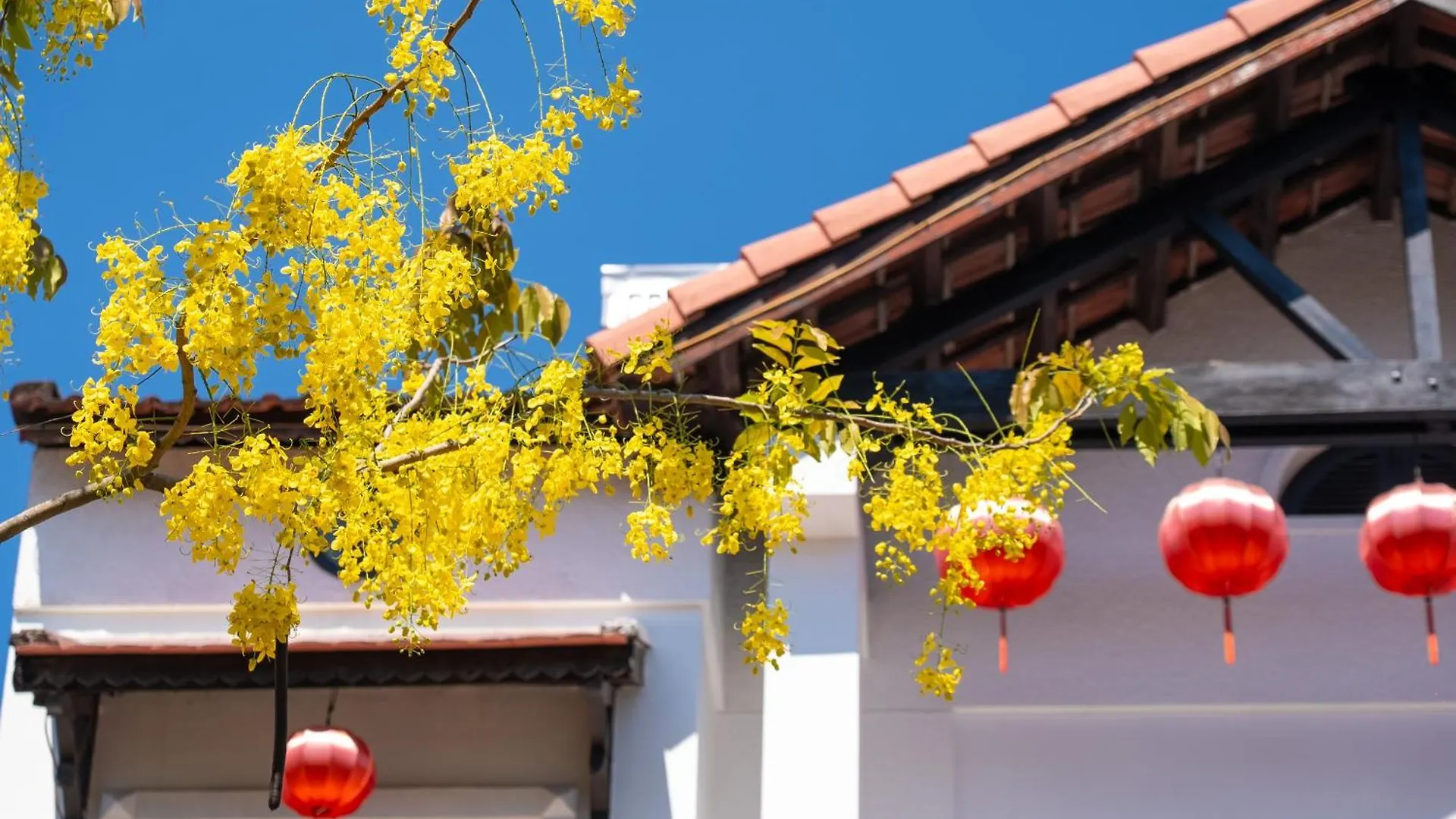 Hoianese Old Town Boutique Hotel Hội An